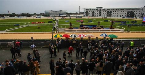 shelbourne park results|Shelbourne Park Greyhound Race Results for 06 April 2024.